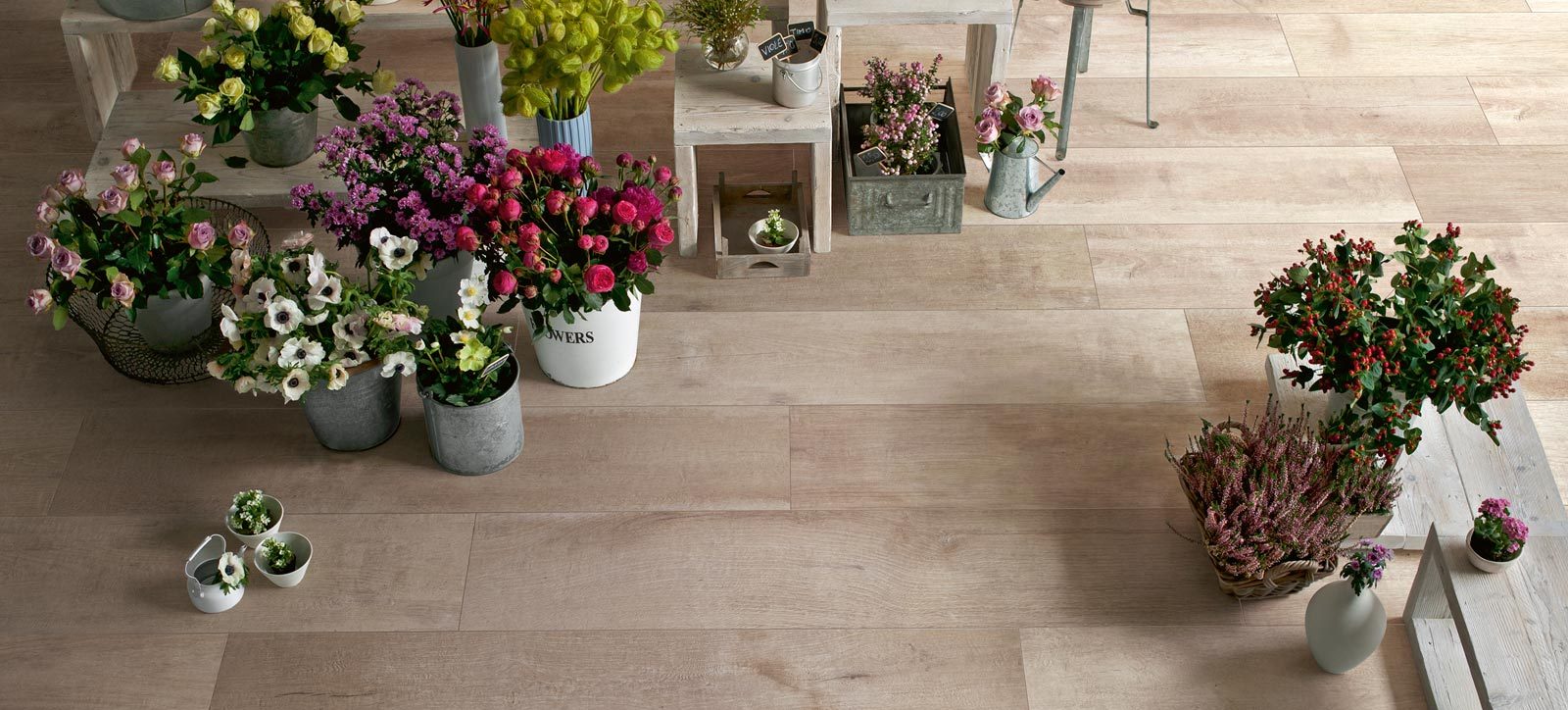 Ragno_Woodsense_005
